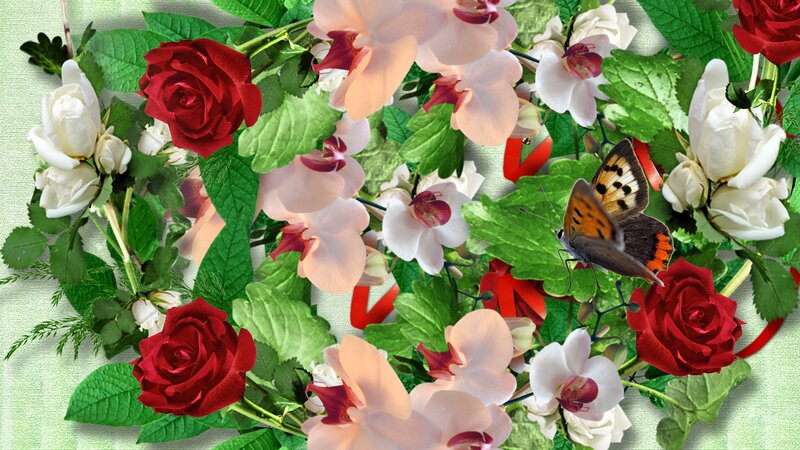 Butterfly on Flowers — Red, Calm