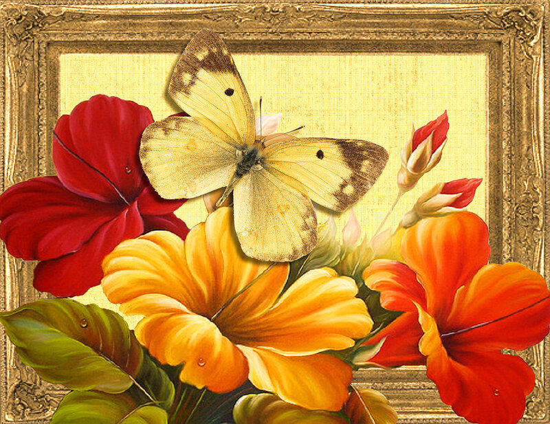 Butterfly on Flowers — Red