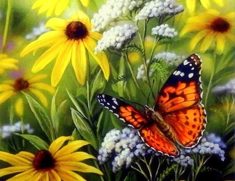 Butterfly on Flowers — Yellow, Serene, Summer