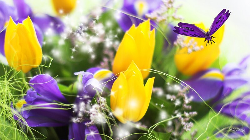 Butterfly on Flowers — Yellow, Serene