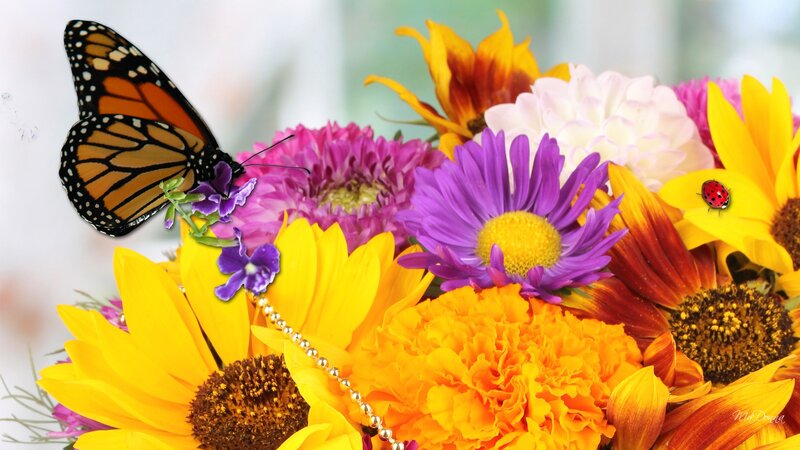 Butterfly on Flowers — Yellow