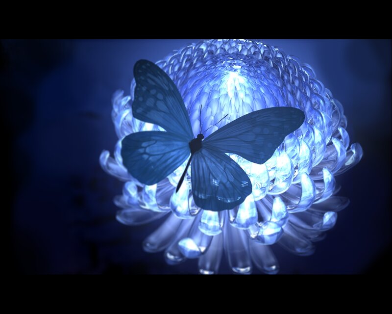 Butterfly on Glowing Flower