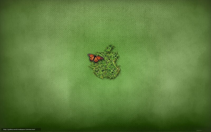 butterfly on grass apple