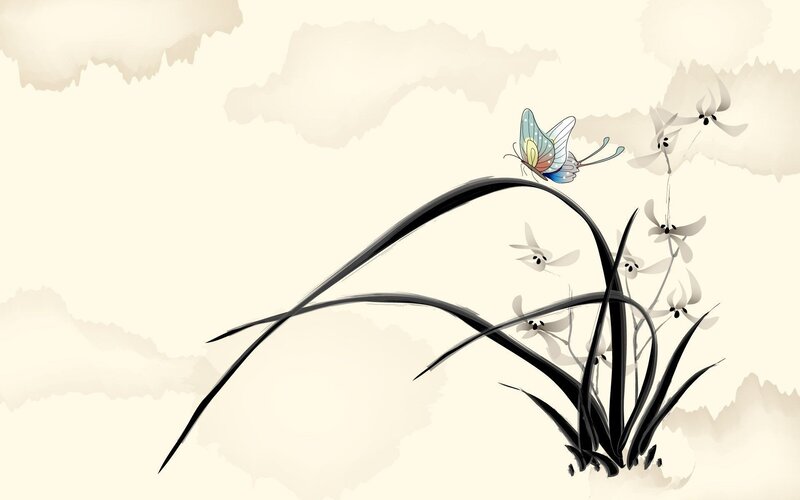 butterfly on grass