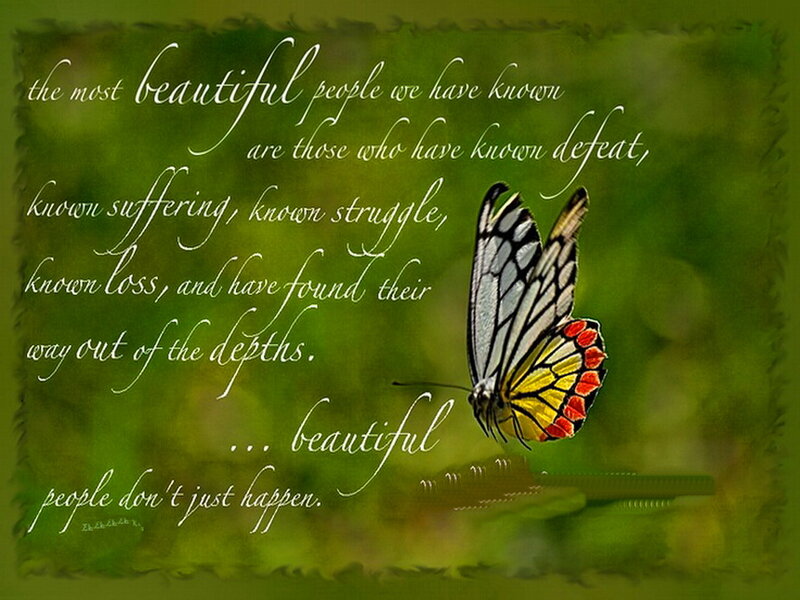 Butterfly on Green Background