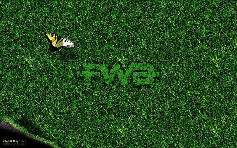 Butterfly on green grass