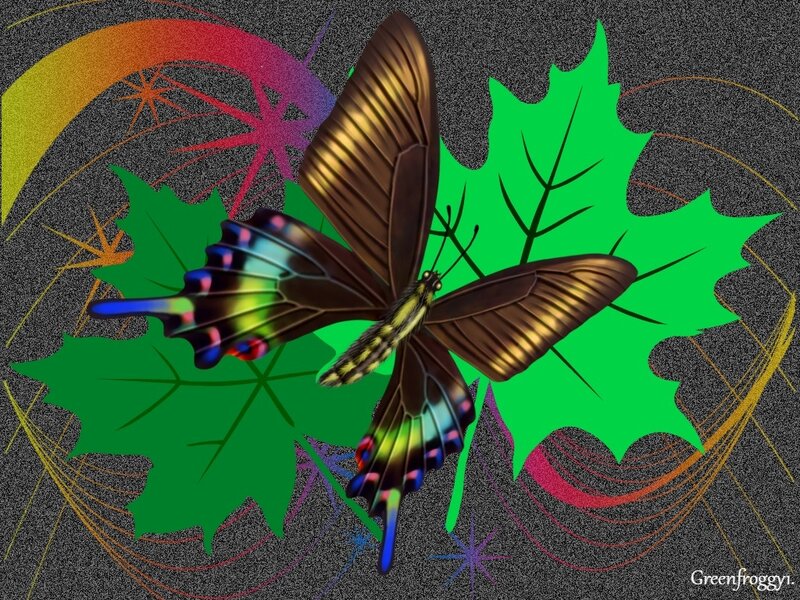 Butterfly on Green Leaf — Vibrant