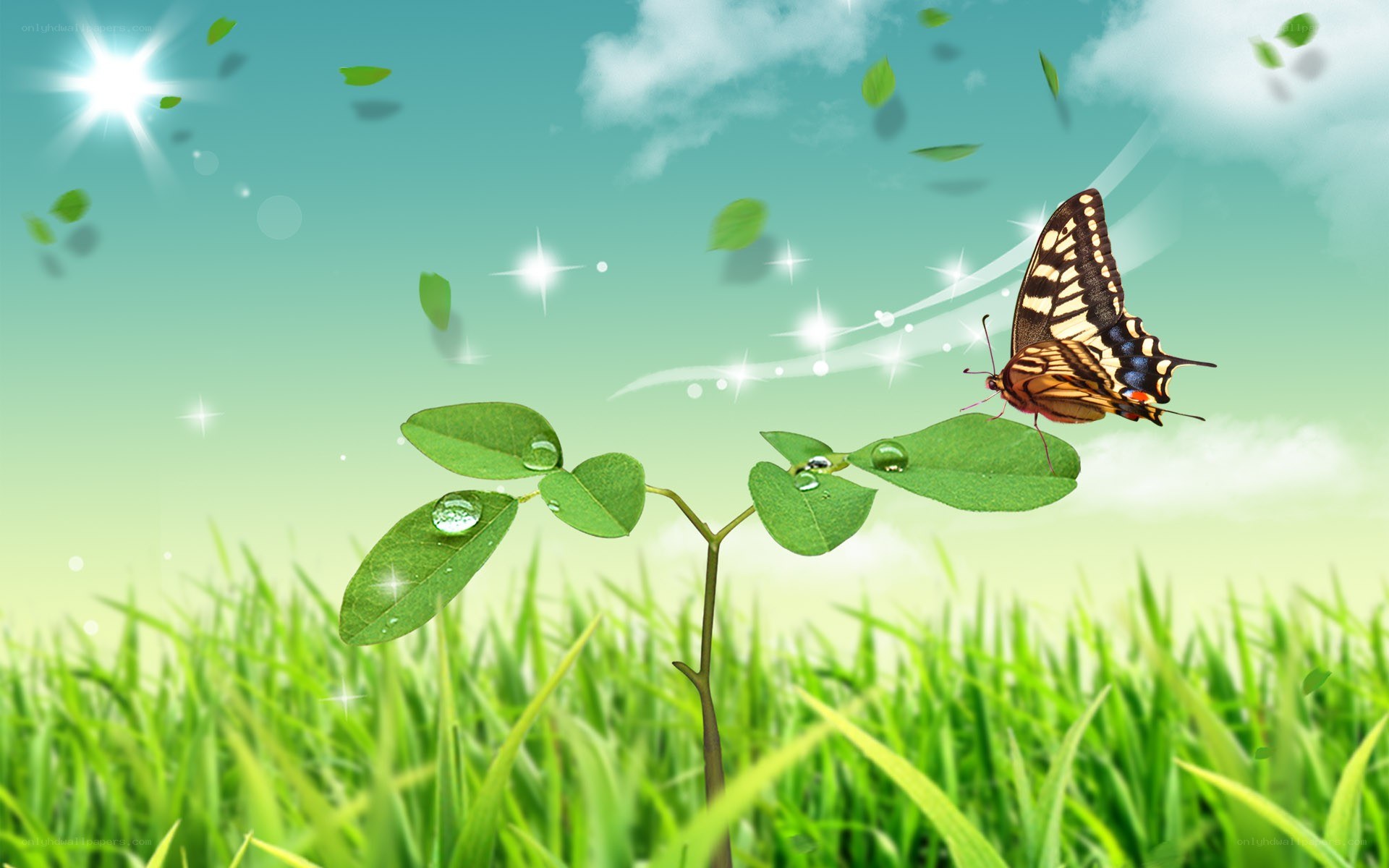 butterfly on green plant