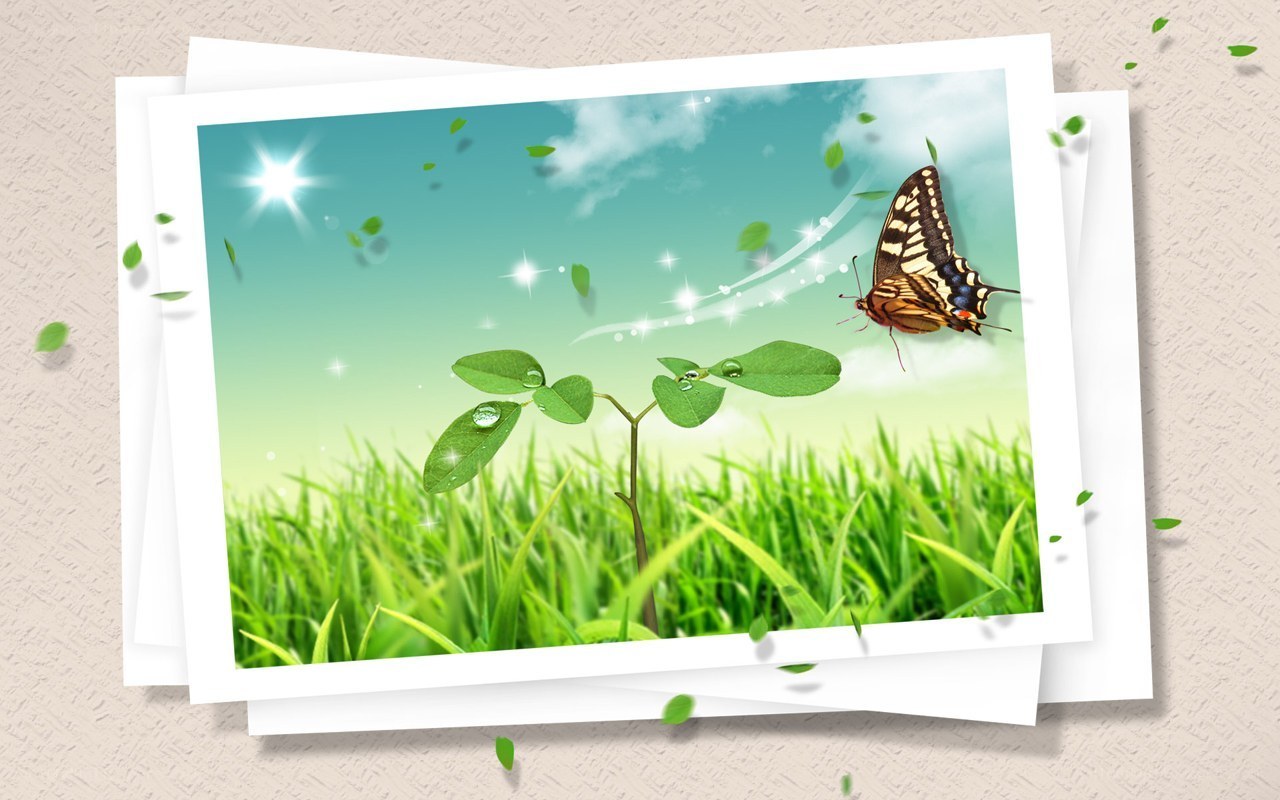 butterfly on green plant