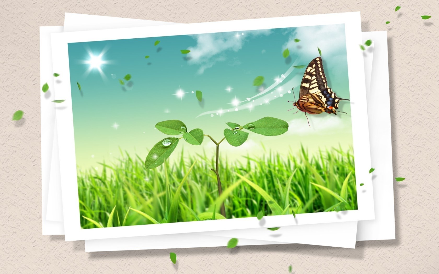 butterfly on green plant