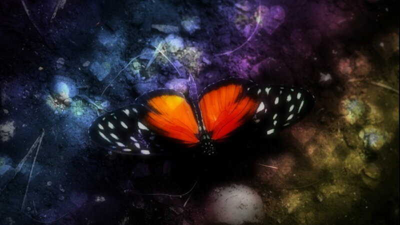 Butterfly on Ground — Orange