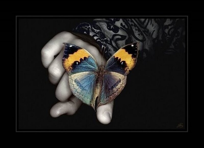 Butterfly on Hand — Black, Dramatic, Photograph