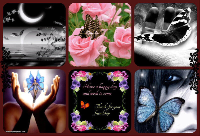 Butterfly on Hand — Black, Serene