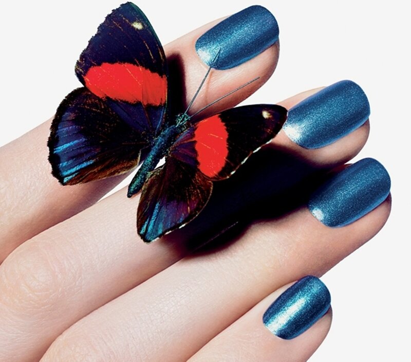 Butterfly on Hand — Blue