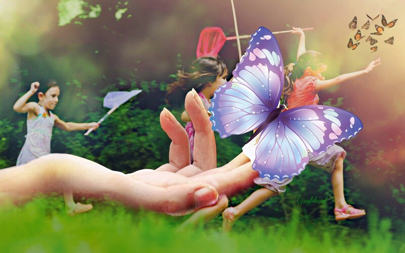 Butterfly on Hand — Green