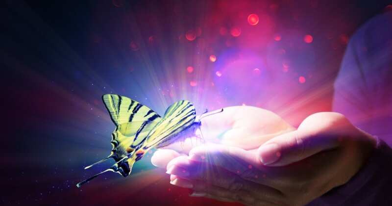 Butterfly on Hand — Purple, Magical