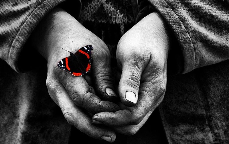 Butterfly on Hands — Black