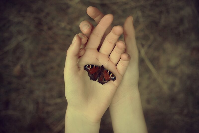 Butterfly on Hands — Brown