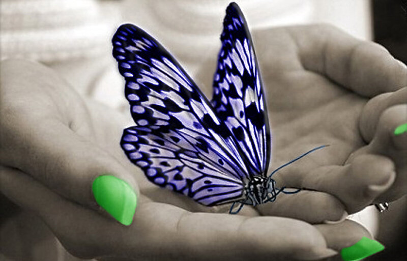 butterfly on hands