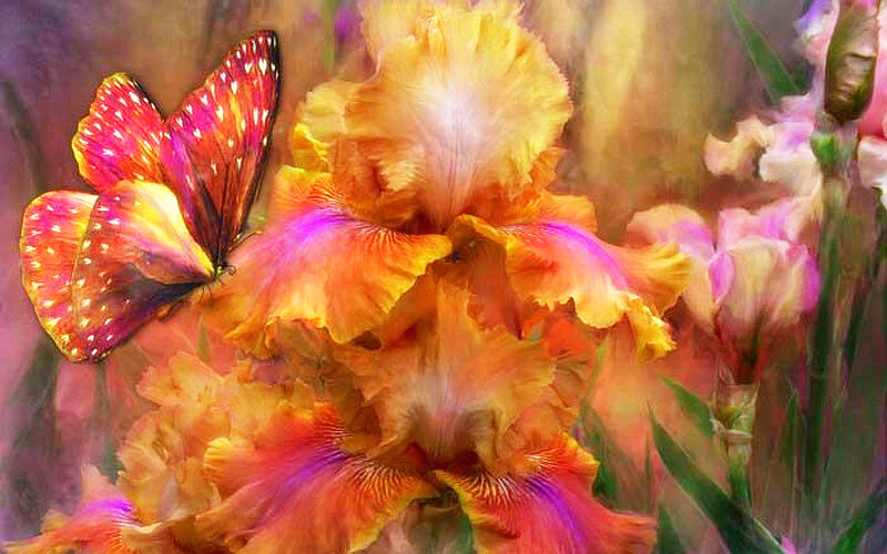 Butterfly on Iris Flower — Orange, Vibrant, Digital Art