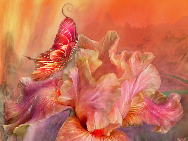 Butterfly on Iris Flower