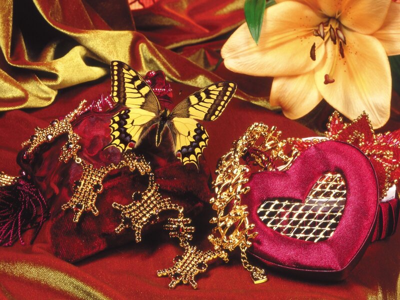 Butterfly on jewelry and flowers