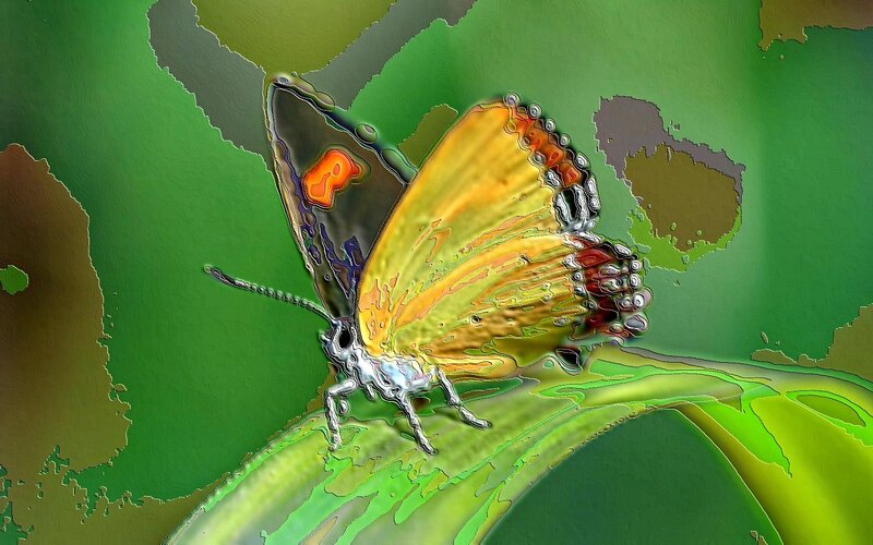 Butterfly on Leaf — Green, Vibrant