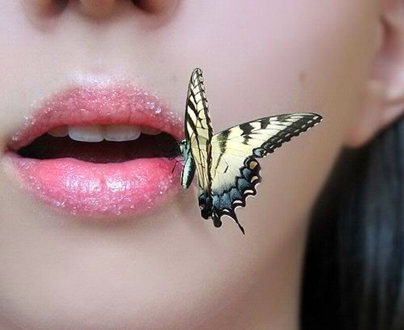 Butterfly on Lips
