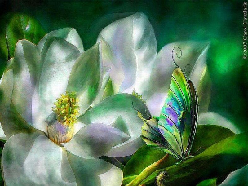 Butterfly on Magnolia Flower — Green