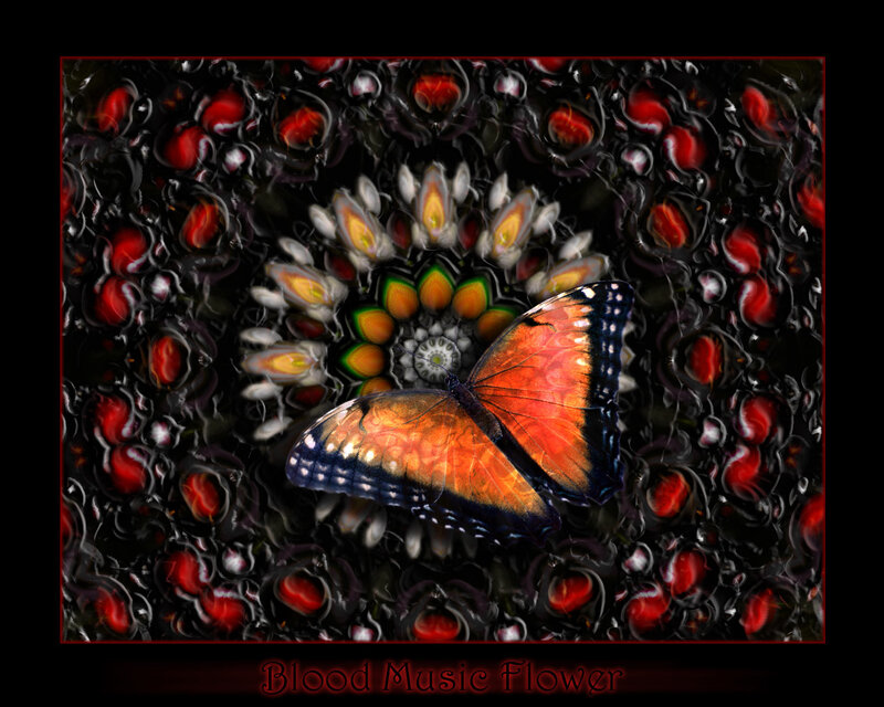 Butterfly on Mandala