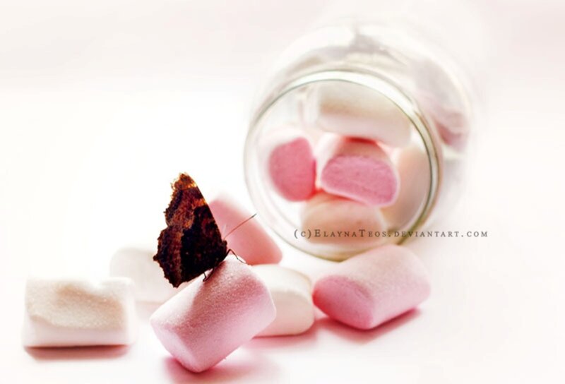 Butterfly on Marshmallows