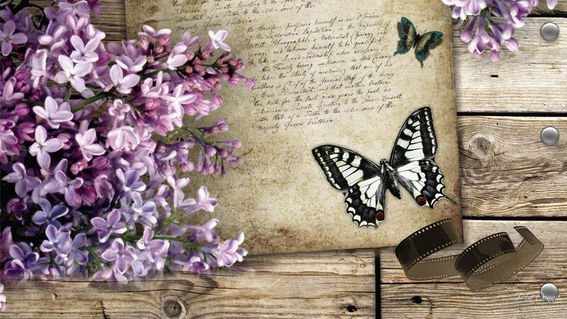 Butterfly on Old Paper