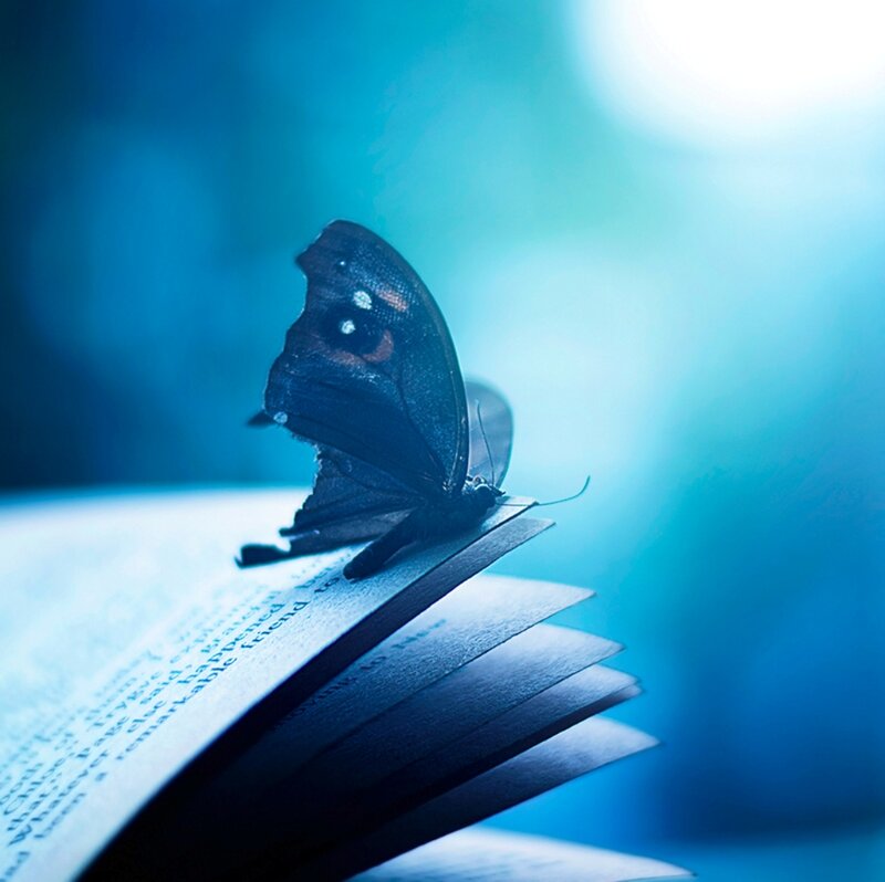 Butterfly on Open Book — Blue