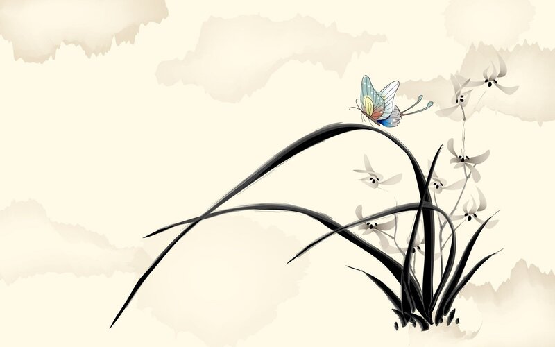 butterfly on orchid leaves