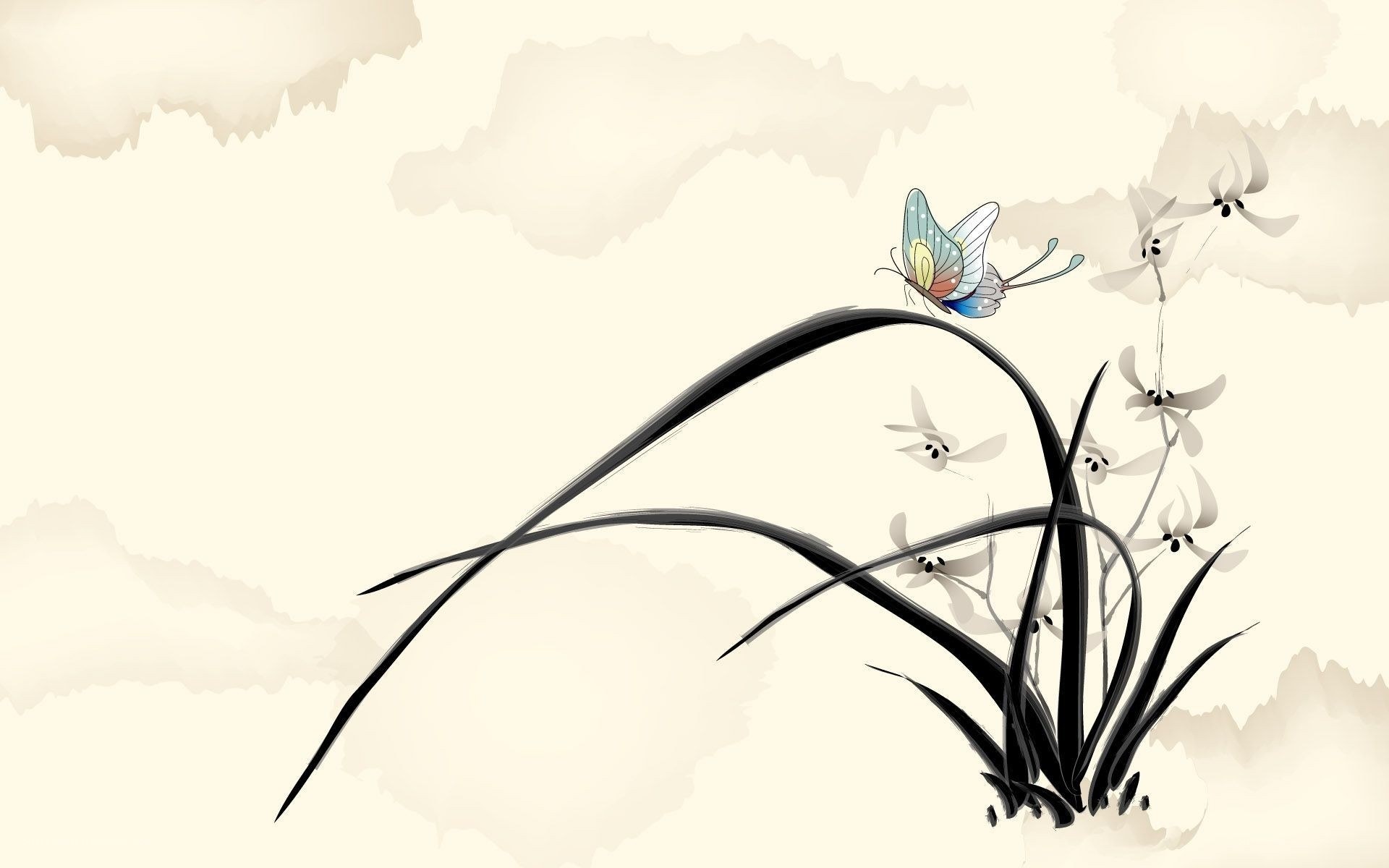 butterfly on orchid leaves