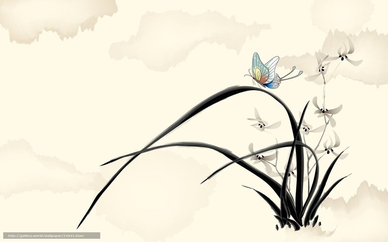 butterfly on orchid plant