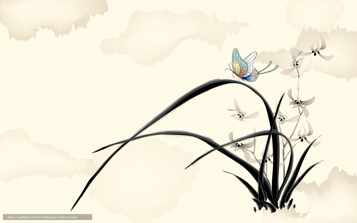 butterfly on orchid plant
