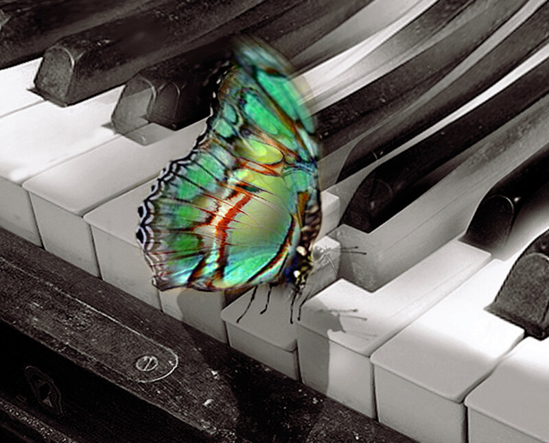 Butterfly on Piano Keys — Green