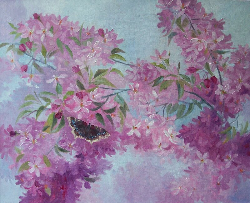 Butterfly on Pink Blossoms — Serene