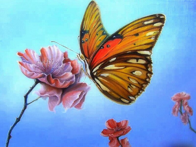 Butterfly on Pink Flower — Blue, Serene, Spring