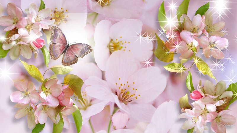 Butterfly on Pink Flowers — Serene, Spring