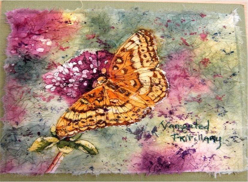 butterfly on purple flower