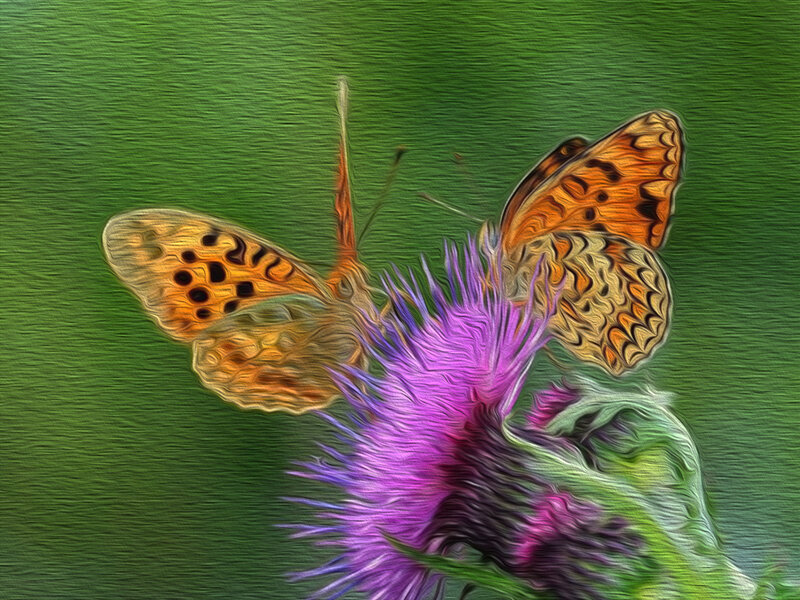 Butterfly on Purple Flower — Calm, Digital Art
