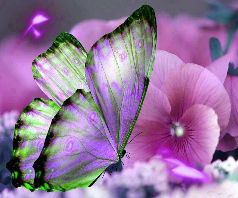 Butterfly on Purple Flower — Dreamy, Digital Art, Purple Light