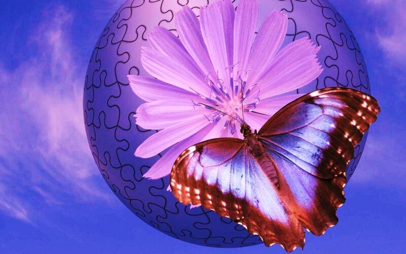 Butterfly on Purple Flower — Dreamy, Digital Art