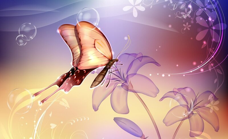 Butterfly on Purple Flower — Dreamy, Sunset