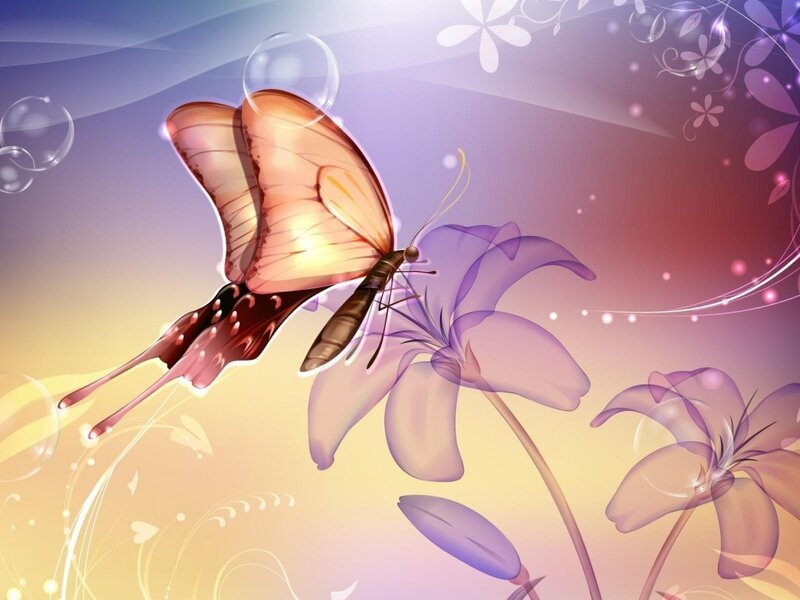Butterfly on Purple Flower — Dreamy