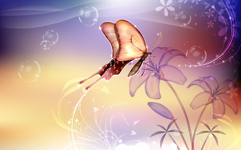 Butterfly on Purple Flower — Serene, Sunset