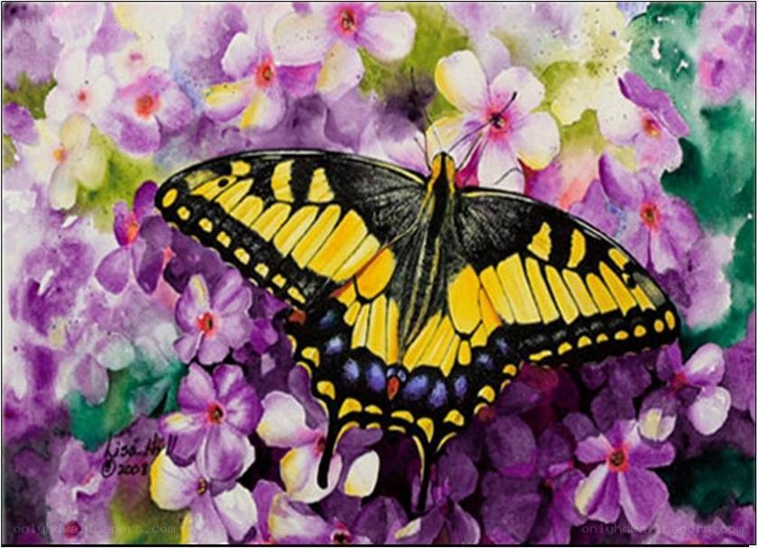 Butterfly on purple flowers