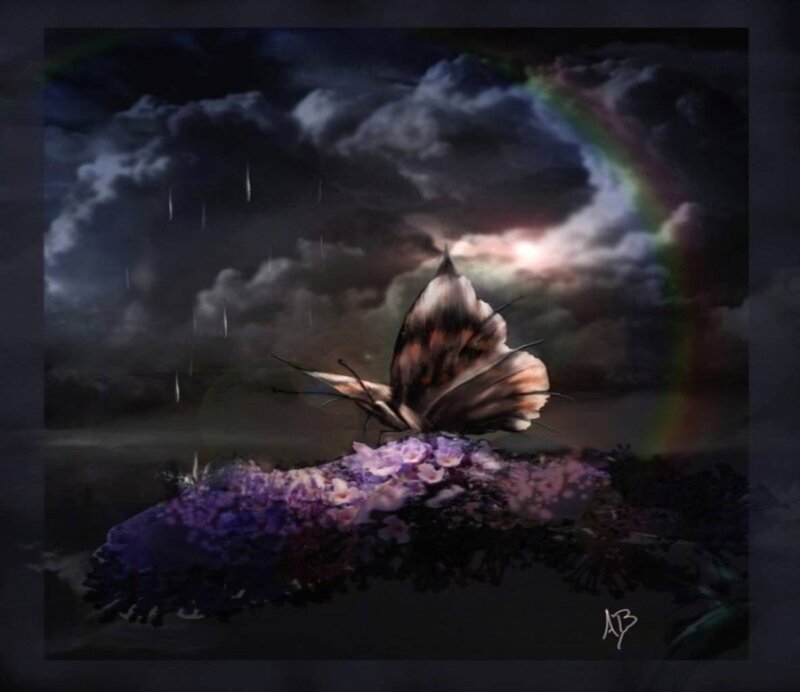 Butterfly on Purple Flowers — Dramatic, Night